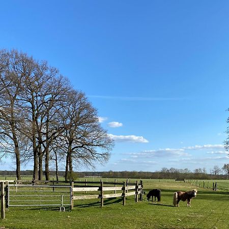 Ferienhof Westermann Waldblick Lähden Extérieur photo